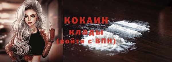 гидра Бронницы