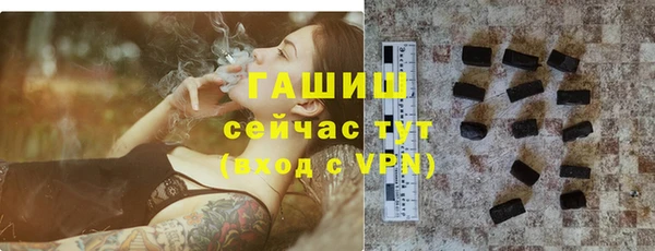гидра Бронницы