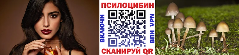 Купить  Пугачёв  Галлюциногенные грибы Psilocybine cubensis 
